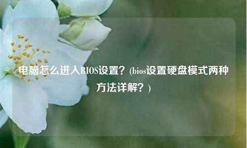 怎么进入bios模式快捷键_怎么进入bios模式快捷键设置